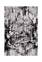 Obsidiana