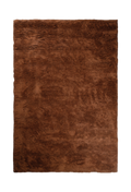 Terra
