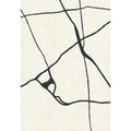 Vena