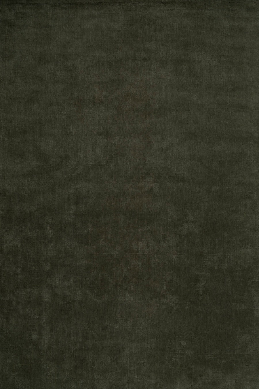 Sahara