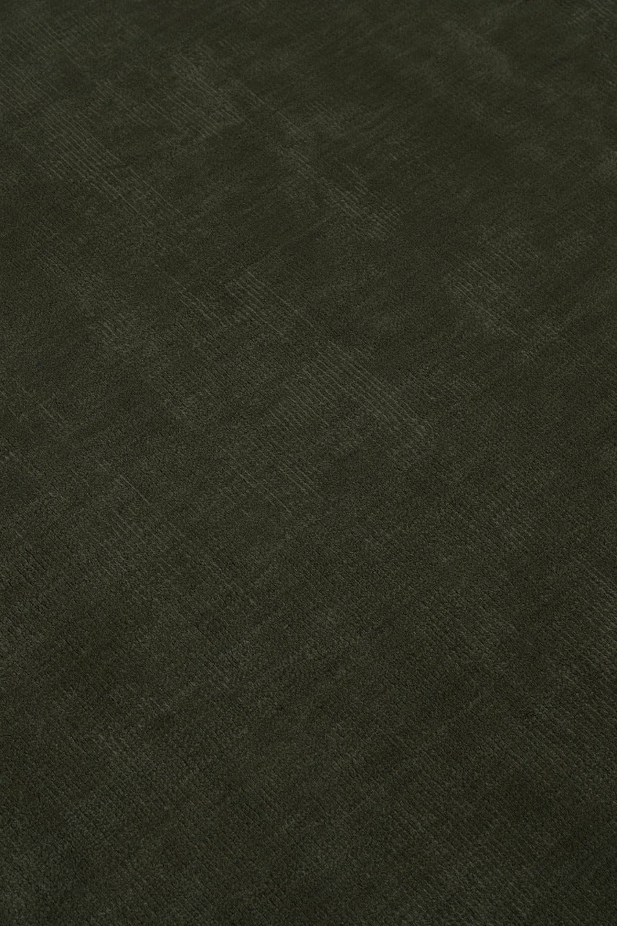 Sahara